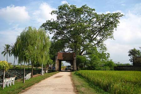 Duong lam villages